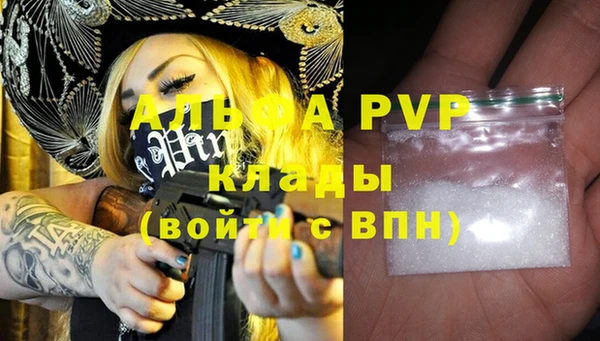 стафф Дмитриев