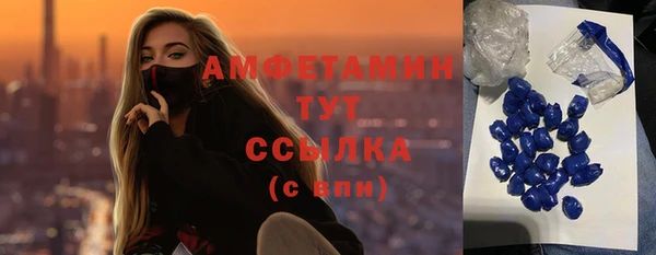 стафф Дмитриев