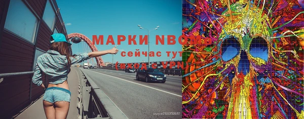 ПСИЛОЦИБИНОВЫЕ ГРИБЫ Дмитров
