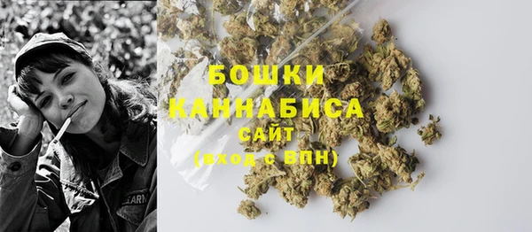 стафф Дмитриев